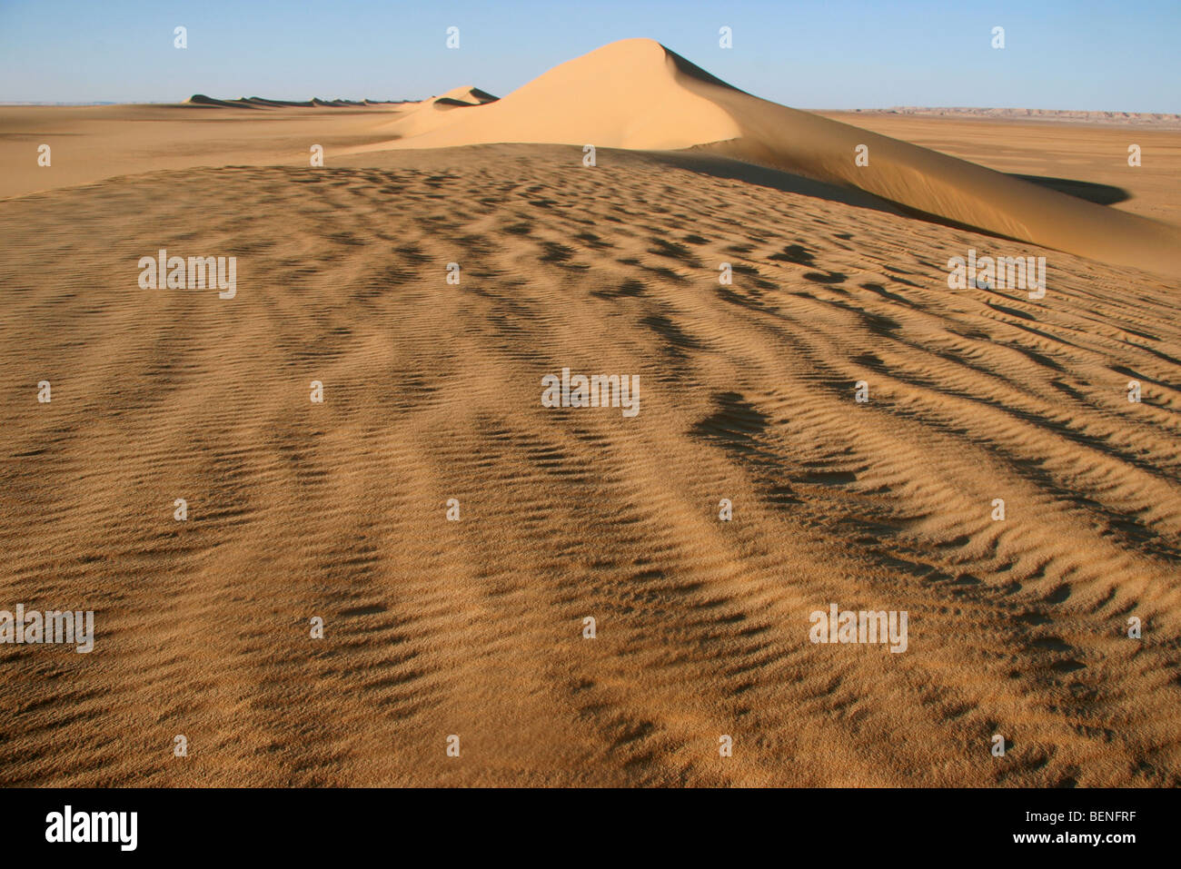 Dune di sabbia rossa nel deserto occidentale / Deserto Libico, Egitto, Nord Africa Foto Stock