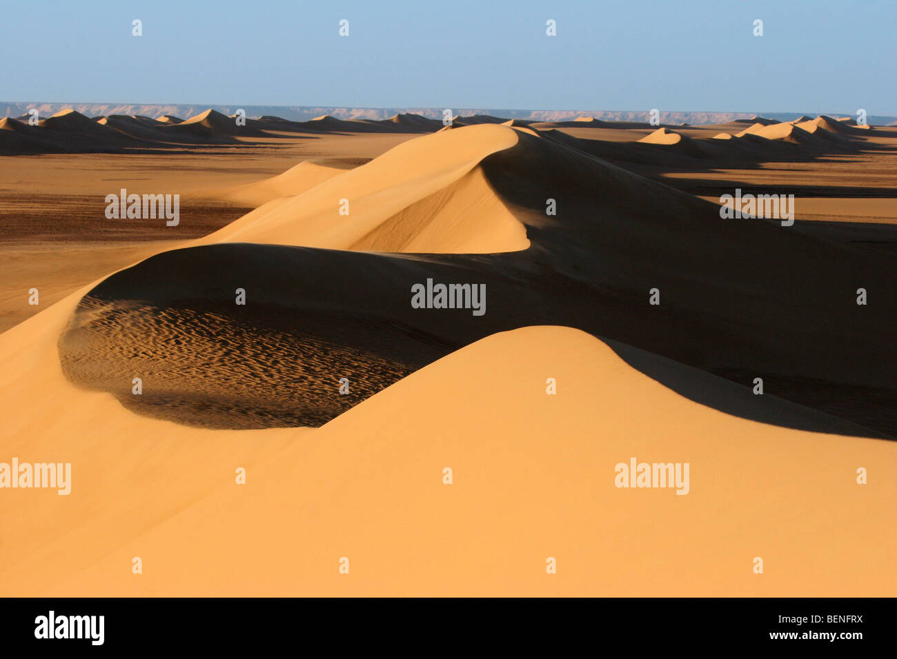Dune di sabbia rossa nel deserto occidentale / Deserto Libico, Sahara, Egitto, Nord Africa Foto Stock