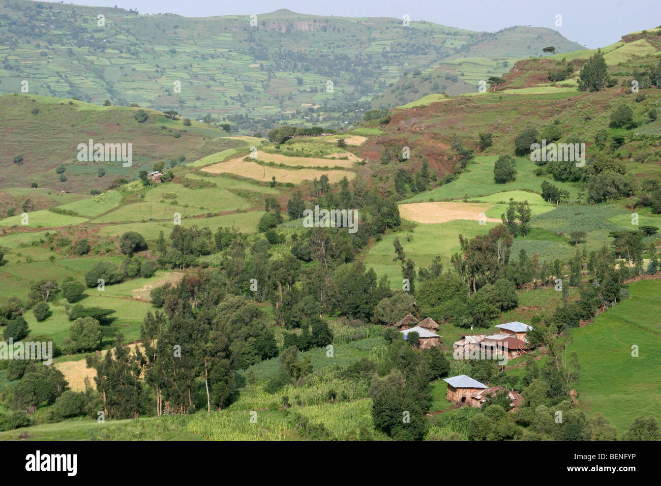 Agricoltura mostra terreni agricoli con i campi e primitiva di capanne in altopiani etiopi, Etiopia, Africa orientale Foto Stock