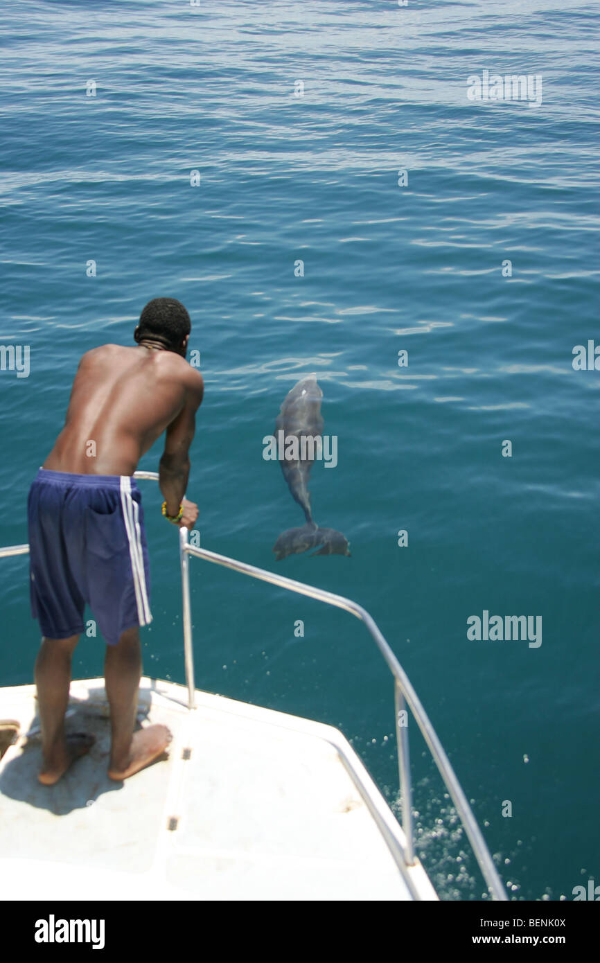 Incontro con un delfino mentre su una barca vicino all'isola di Zanzibar in Tanzania Foto Stock