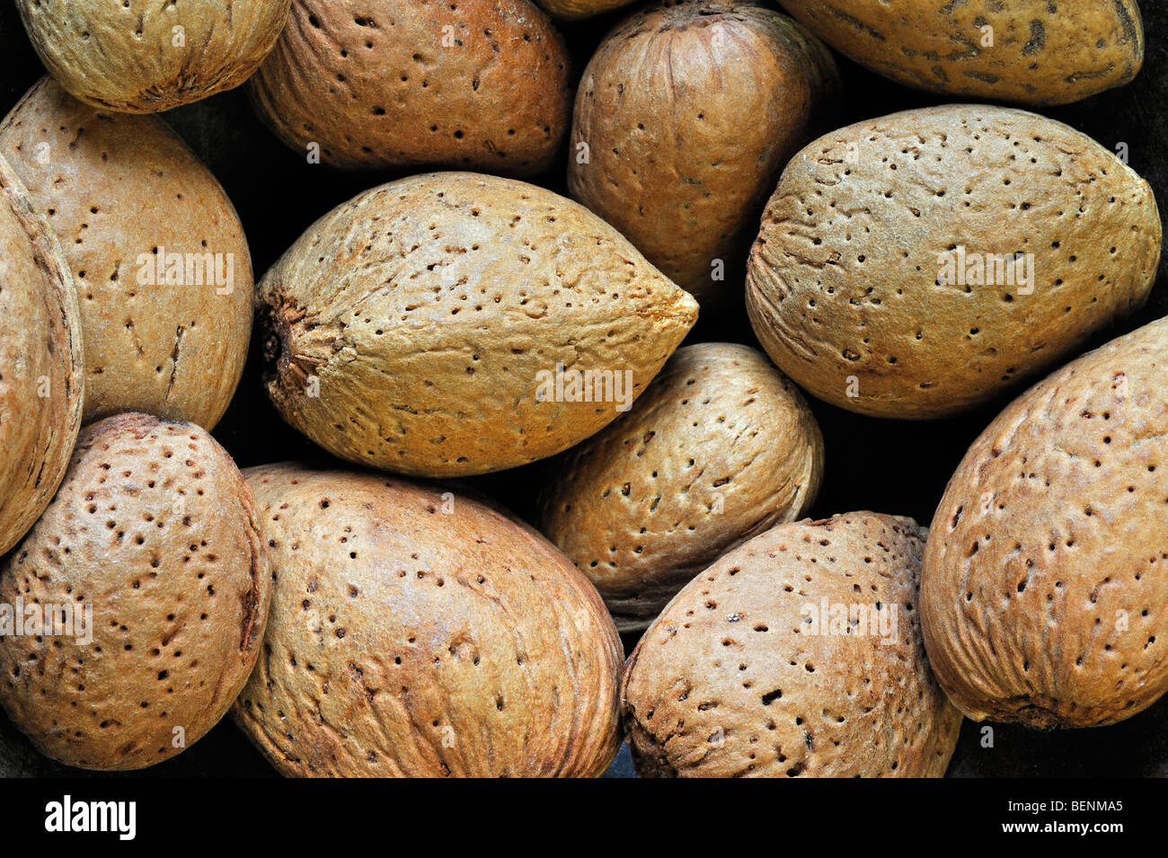 Raccolte di mandorle senza guscio dadi (Prunus dulcis / Prunus amygdalus) in guscio Foto Stock