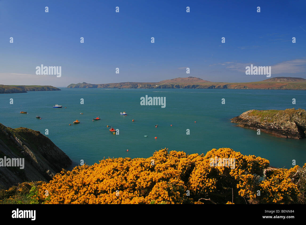 Ramsey Suono e Ramsey Island da St Justinians su Il Pembrokeshire Coast, Wales, Regno Unito Foto Stock