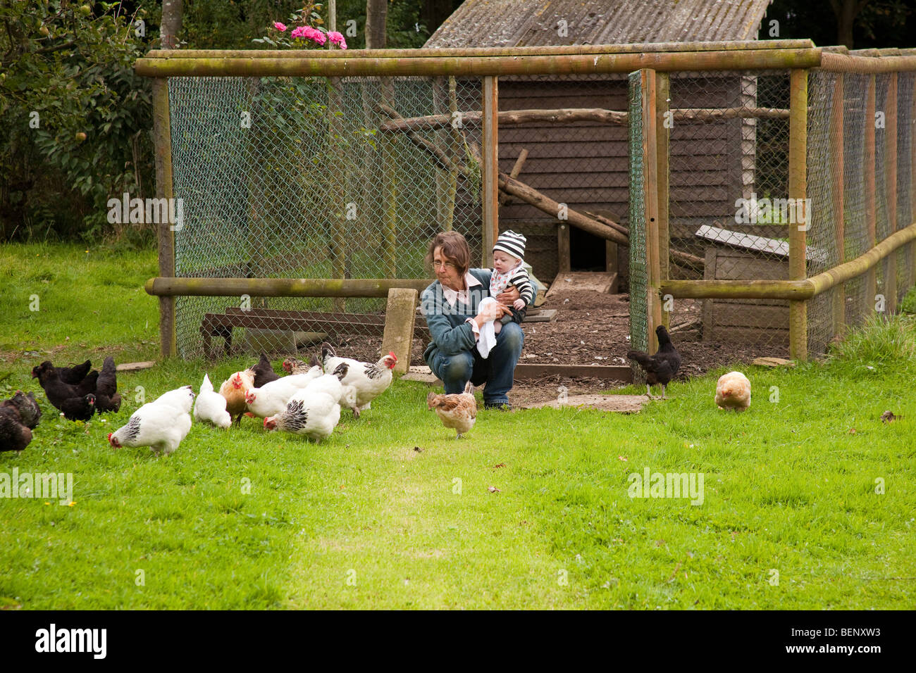 Nonna e nipote di bambino alimentando i polli, Hampshire Inghilterra. Foto Stock