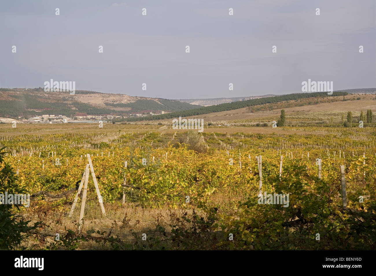 L'Ucraina Crimea Balaclava valley, scena di carica della brigata della luce Foto Stock