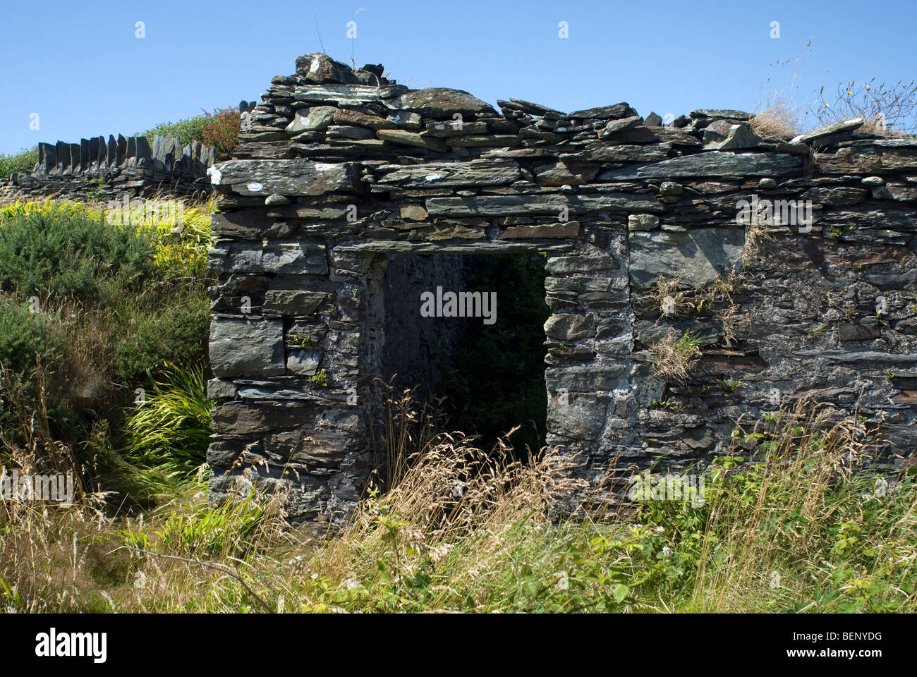 I resti di un antico edificio di pietra vicino Cregneash sulla punta sud occidentale dell'Isola di Man Foto Stock