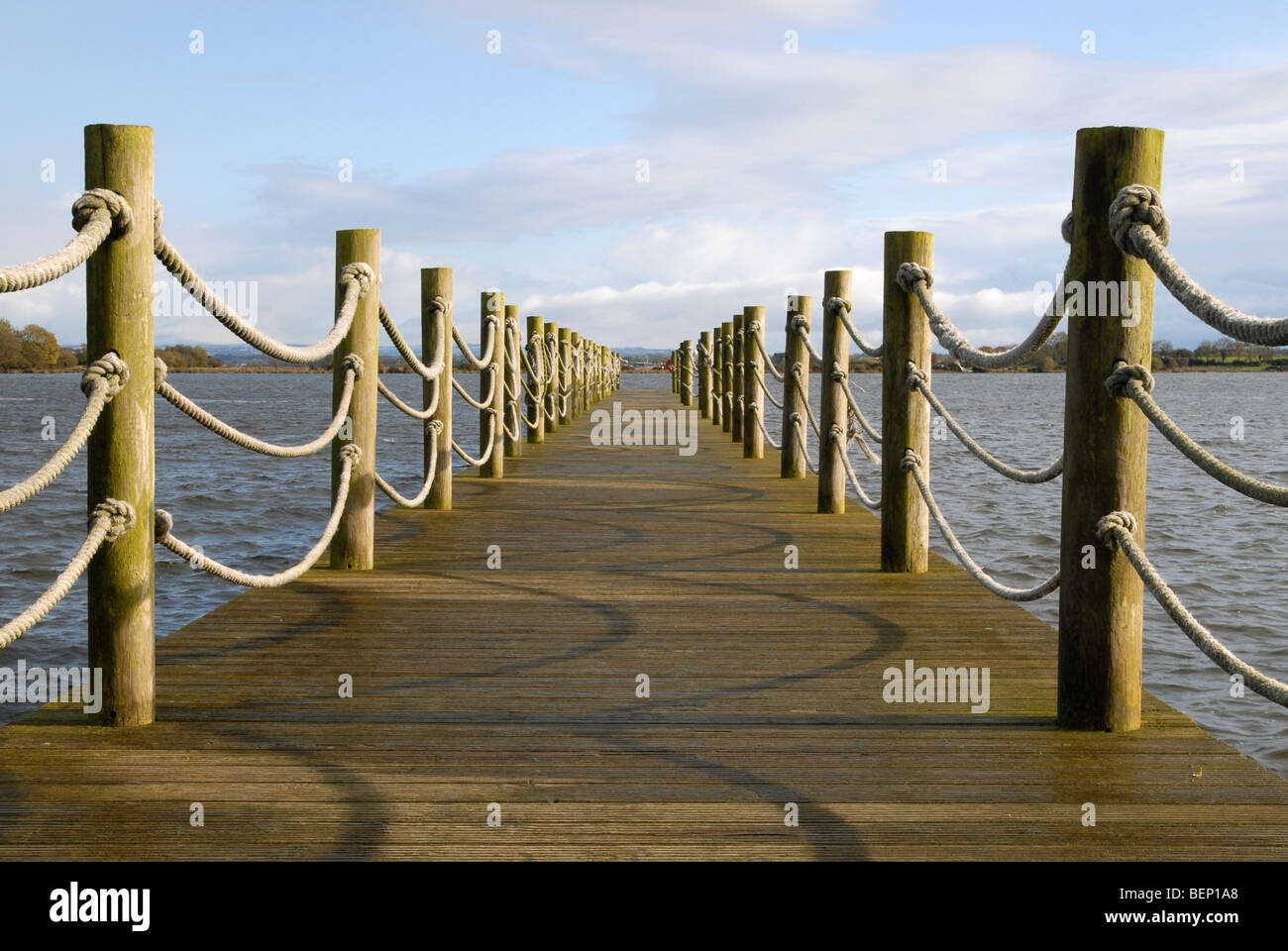 Oxford isola riserva naturale, Lough Neagh, nella contea di Armagh, Irlanda del Nord, Regno Unito. Foto Stock