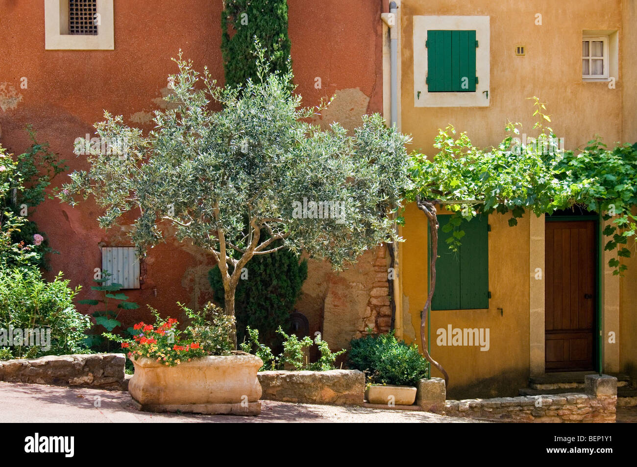 Ocra delle case colorate con tendine, Roussillon, Provenza, Vaucluse, Provence-Alpes-Côte d'Azur, in Francia Foto Stock