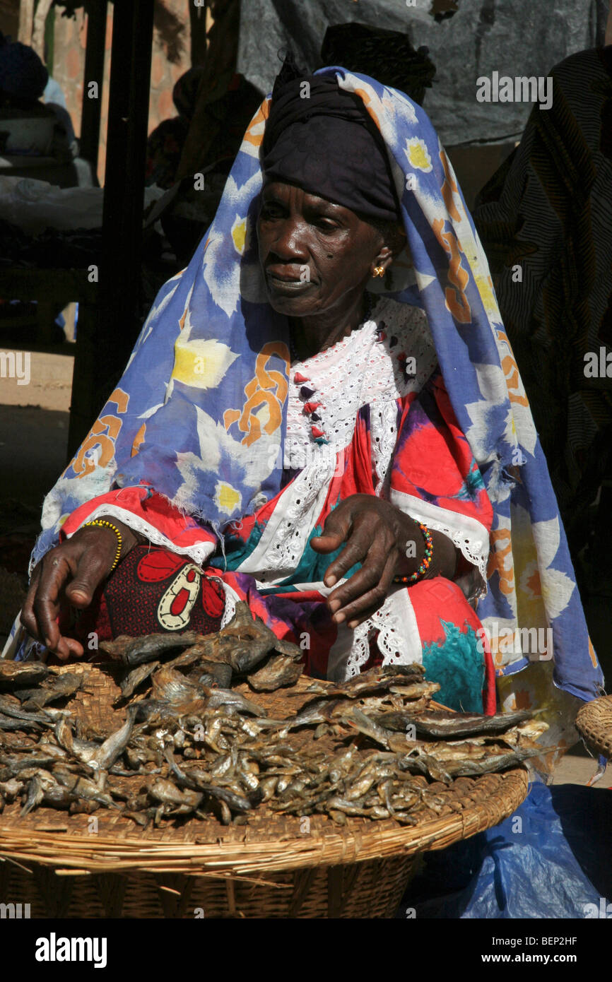 Ritratto di donna nera la vendita del pesce al mercato di Djenne, Mali, Africa occidentale Foto Stock
