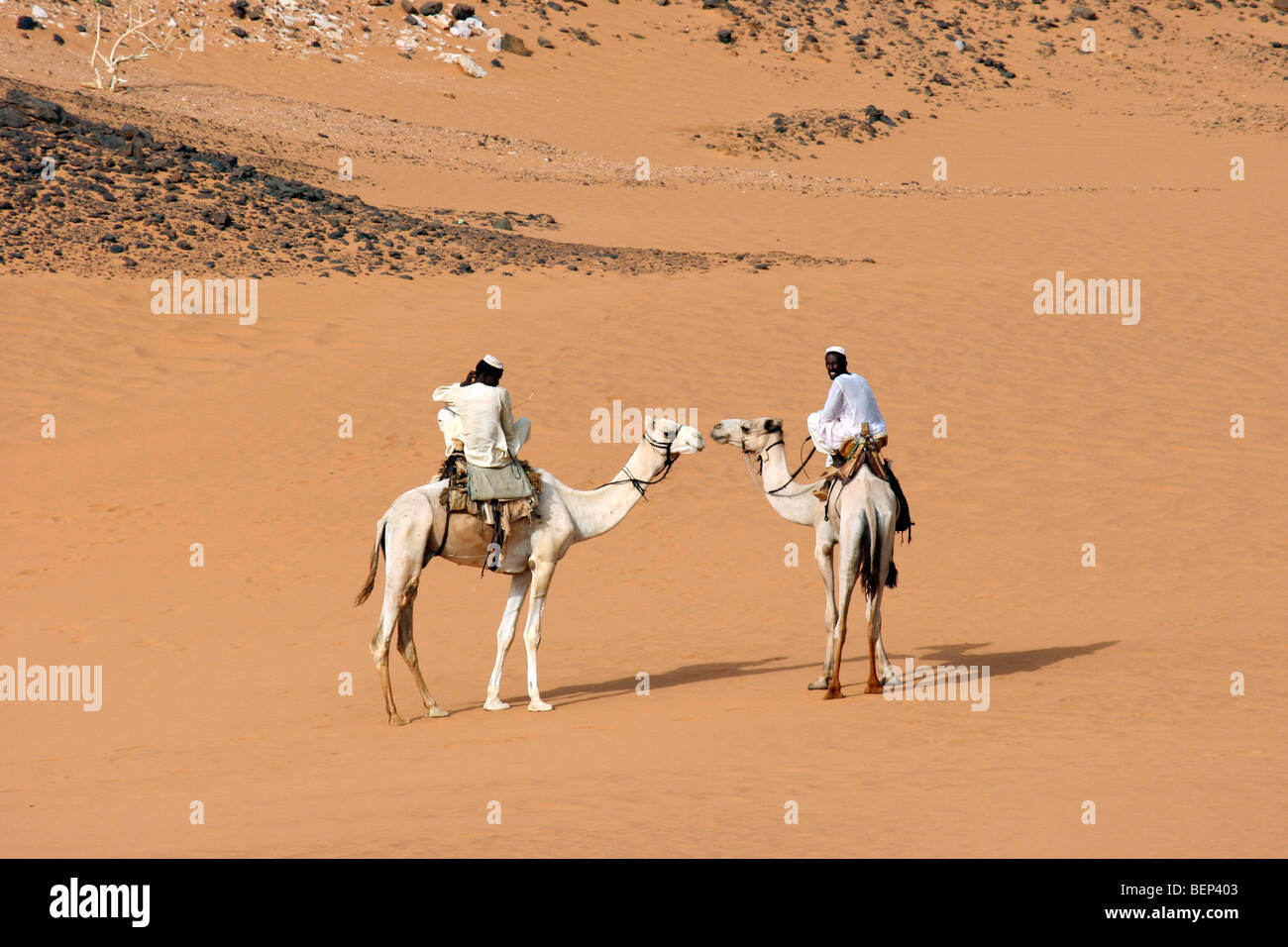 Due Nubian uomini vestiti in riding thawbs dromedario cammelli (Camelus dromedarius) nel deserto nubiano sudanese, Nord Africa Foto Stock