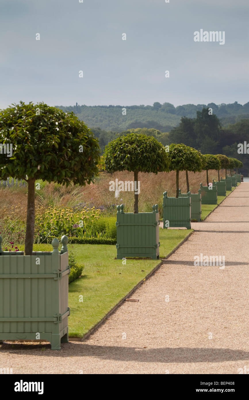 La lunga passeggiata a Trentham Gardens Stoke on Trent Staffordshire rivestiti con le piantatrici Verseilles. Foto Stock