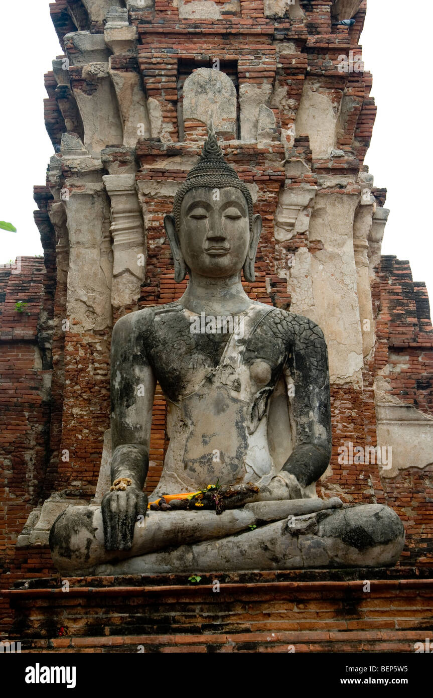 Wat Mahathat, Ayutthaya, Thailandia Foto Stock
