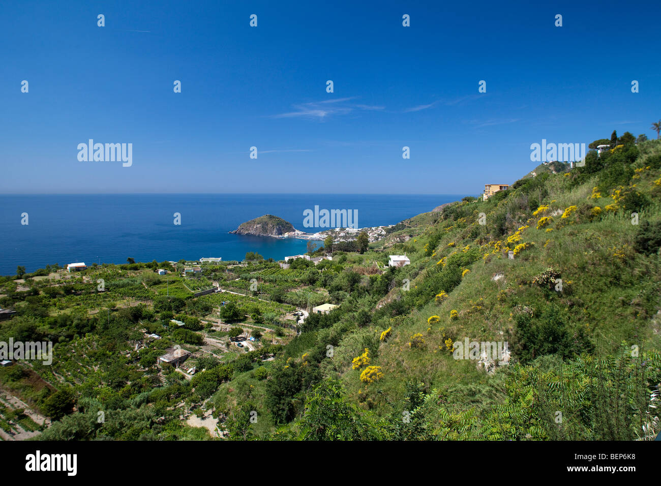 Isola d Ischia, Campania, Italia, Europa, panorama attraverso le colline attraverso Sant'Angelo. Isola del Mediterraneo, mare verde natura. Foto Stock