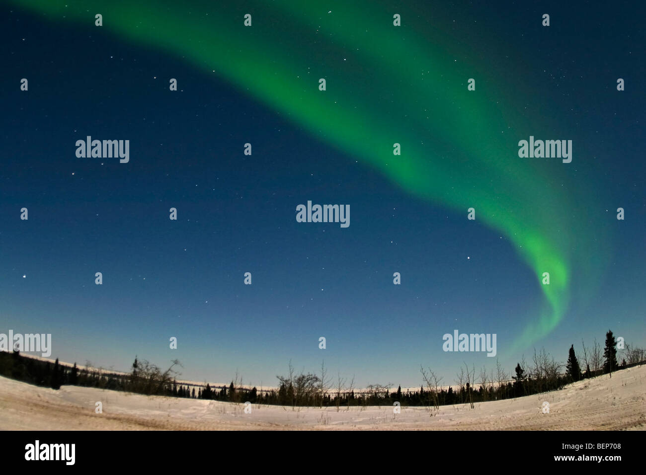Luci del nord, aurora boreale, shine verde sopra la tundra del Northern Manitoba durante una frigida febbraio. Foto Stock