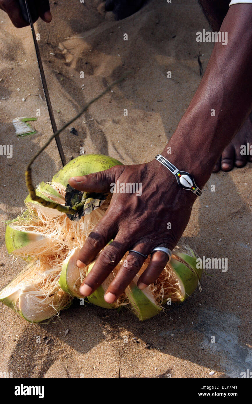 Close up uomo nero apertura (cocco Cocos nucifera) con machete a Lomé, Togo, Africa occidentale Foto Stock