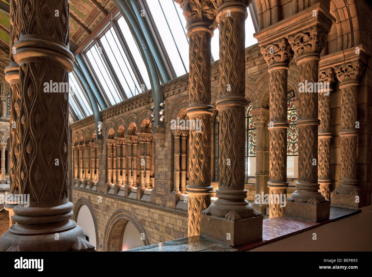 Interno del Museo di Storia Naturale di Londra. Foto Stock