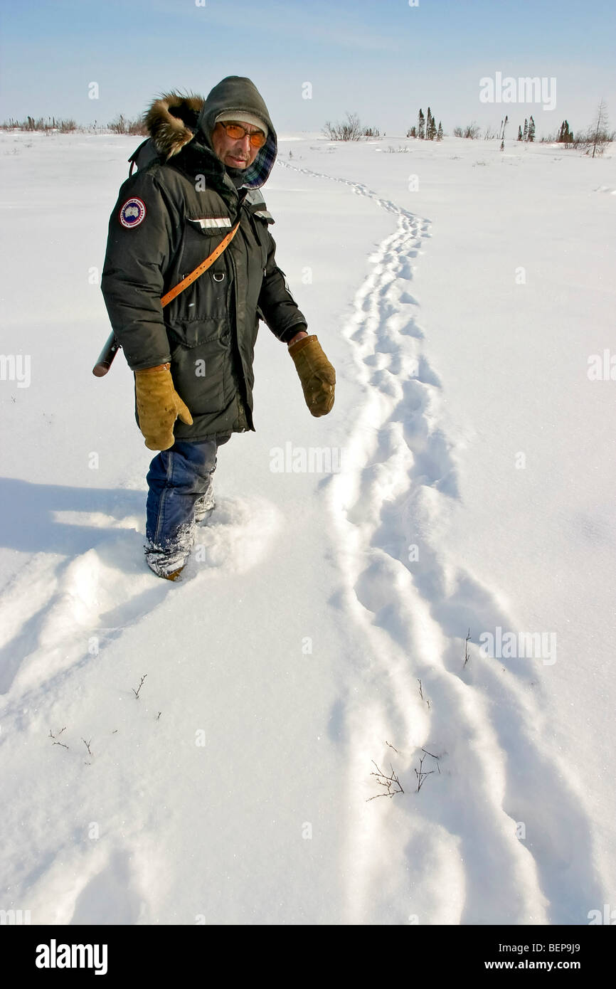 Guida Tundra, collata per le temperature invernali nel Parco Wapusk in Manitoba, Canada e guardare per orsi polari Foto Stock