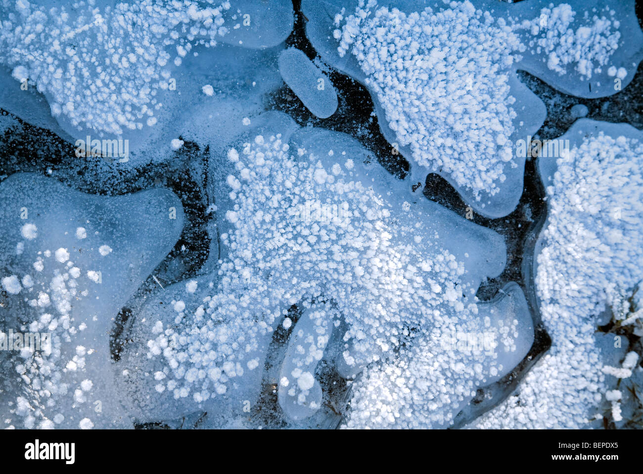 Le bolle d'aria intrappolate nel ghiaccio del lago ghiacciato in inverno Foto Stock