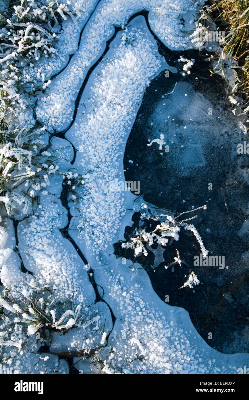 Le bolle d'aria intrappolate nel ghiaccio del lago ghiacciato in inverno Foto Stock