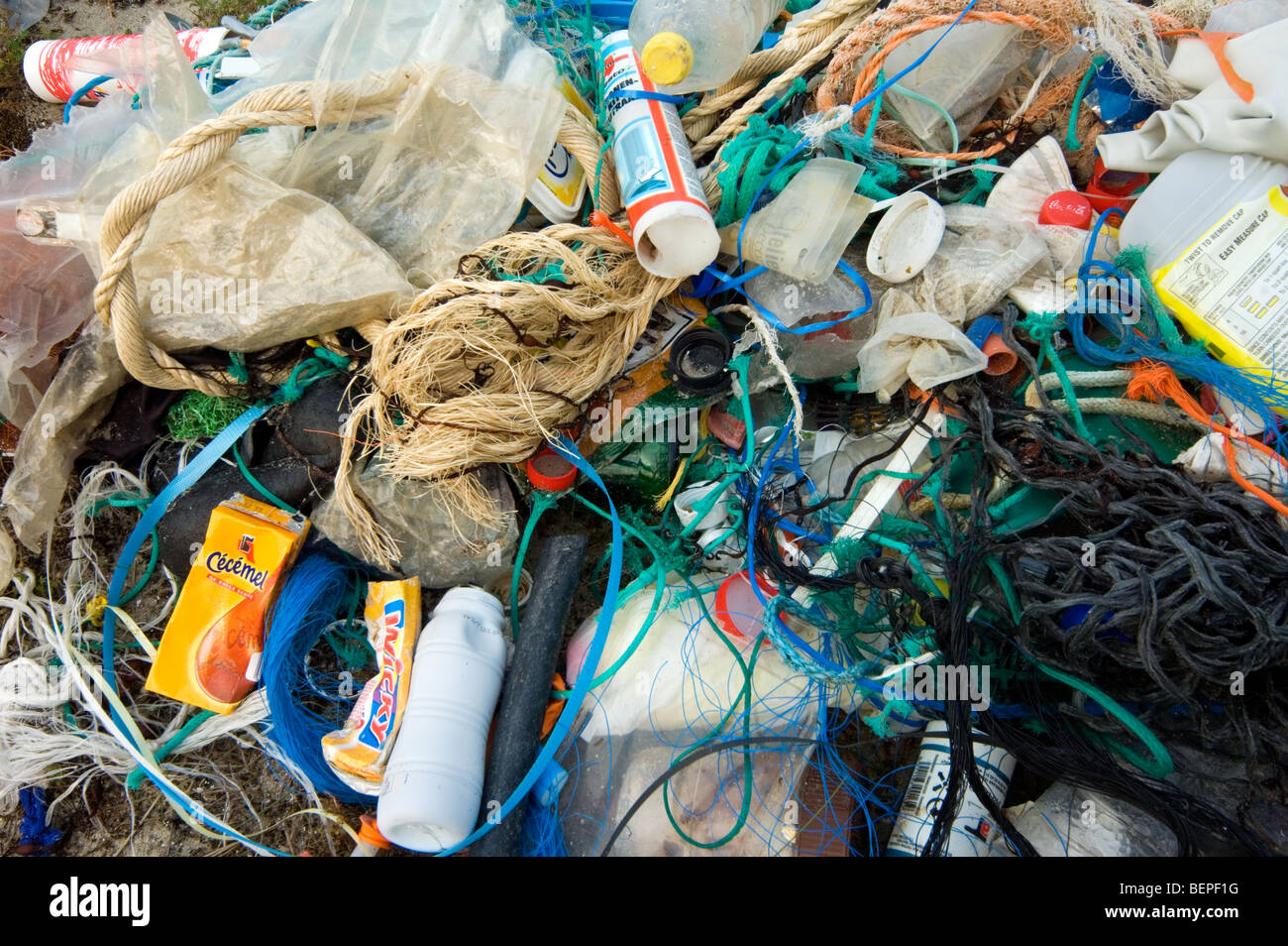 Non degradabili in spazzatura / rifiutare / lettiera, come bottiglie di plastica e di nylon reti da pesca, raccolti nelle dune Foto Stock