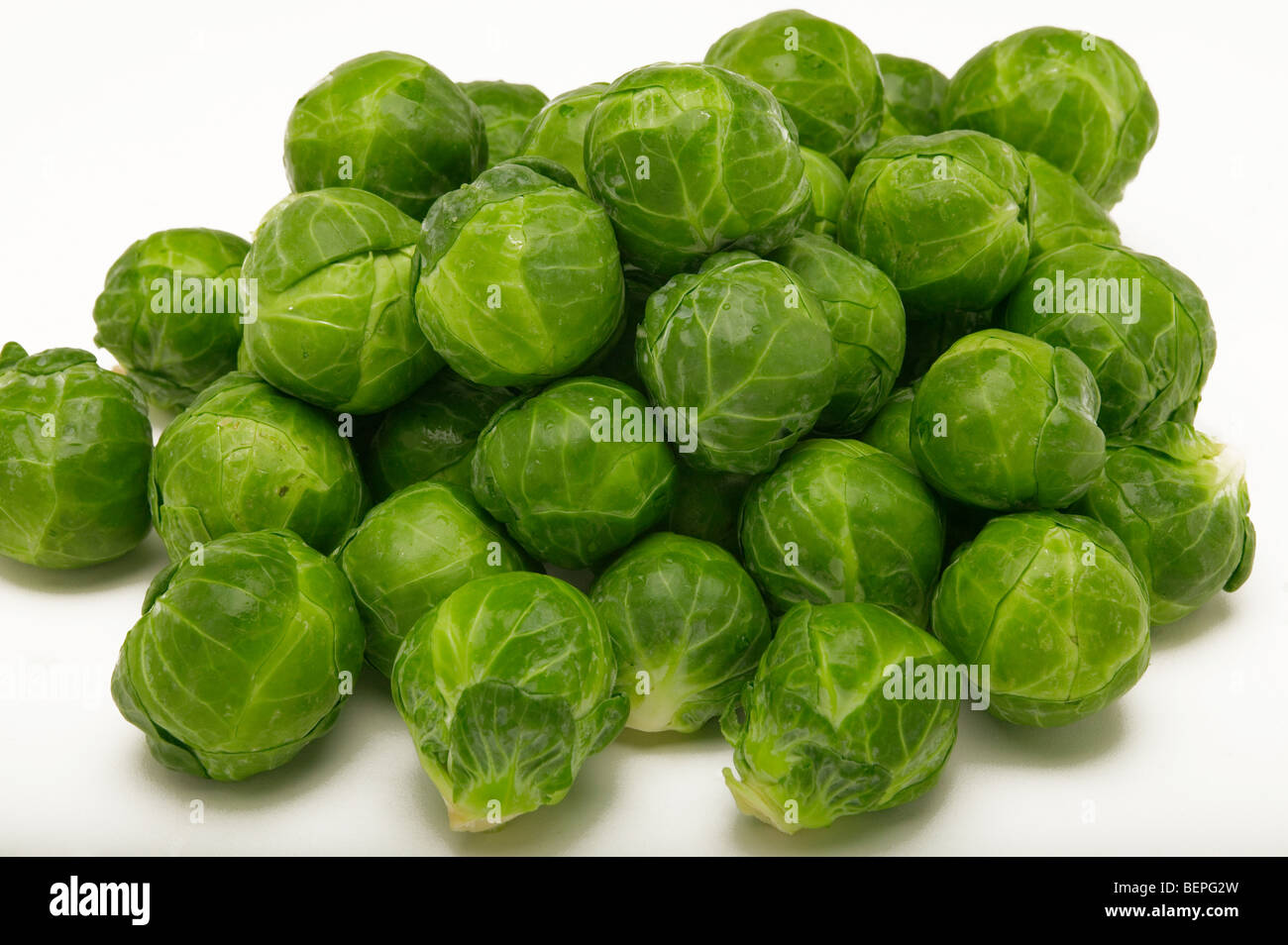 Freschi i cavoletti di Bruxelles Foto Stock