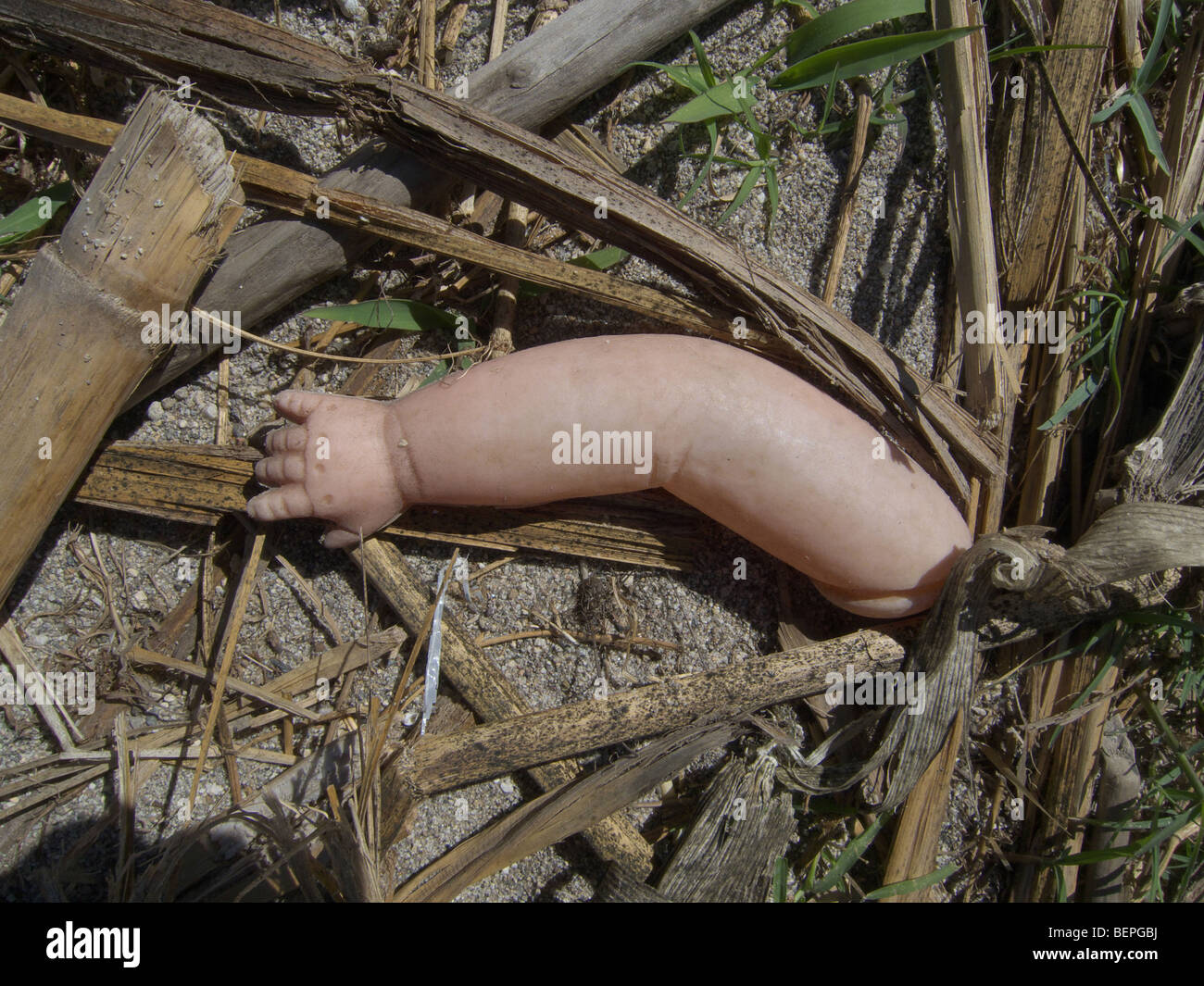 GUATEMALA braccio della bambola di plastica lavati fino sulla spiaggia del lago Atitlan FOTO DI SEAN SPRAGUE 2009 Foto Stock