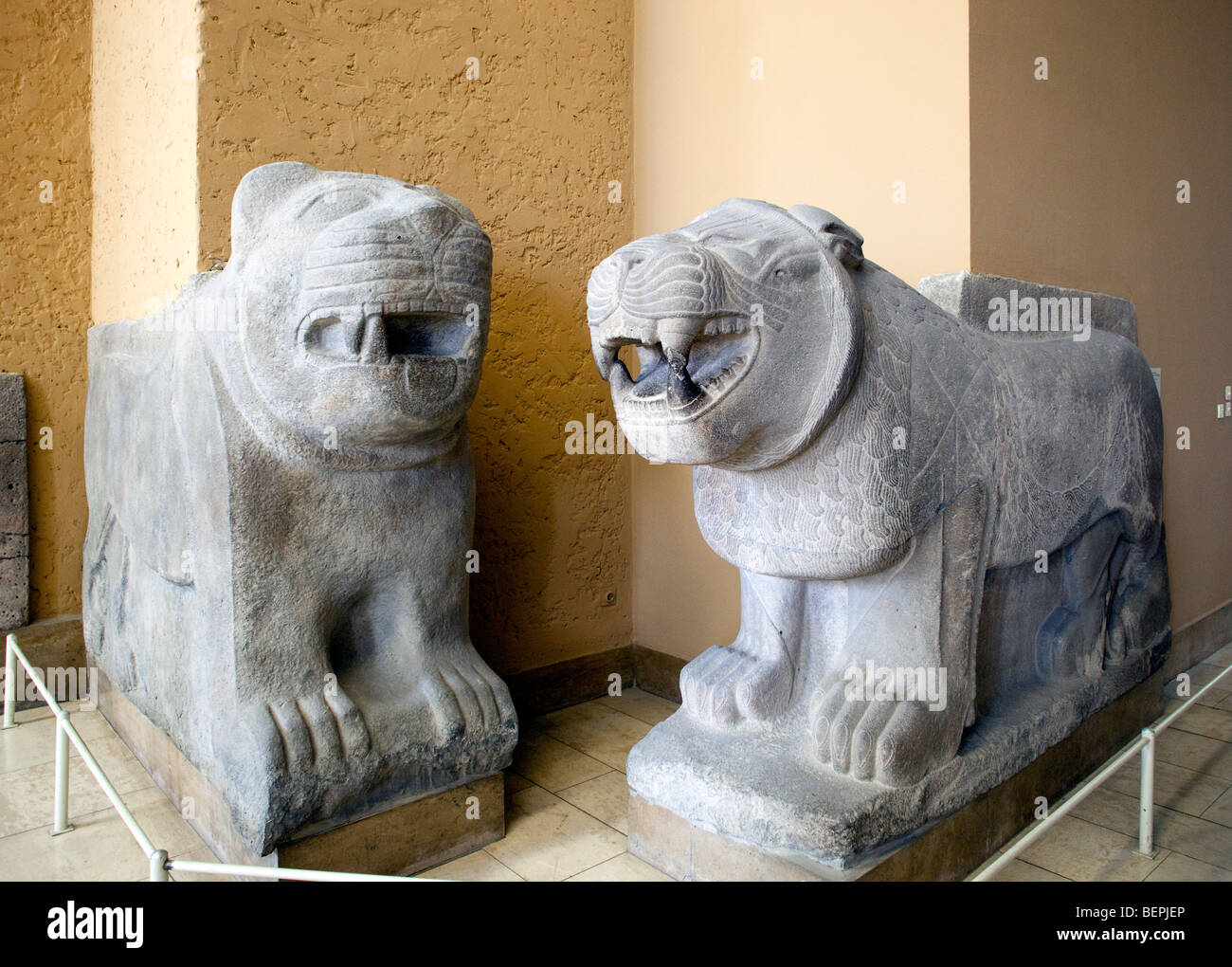 Sculture di Lions appartenenti alla porta interna della cittadella di Sam'al (Zimcirli, Turchia, ottavo secolo BC), Pergamon Museum, Foto Stock