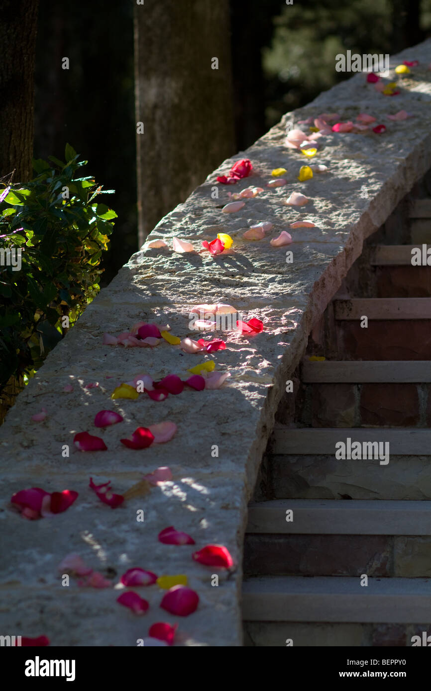 La decorazione floreale in una lussuosa villa italiana Foto Stock