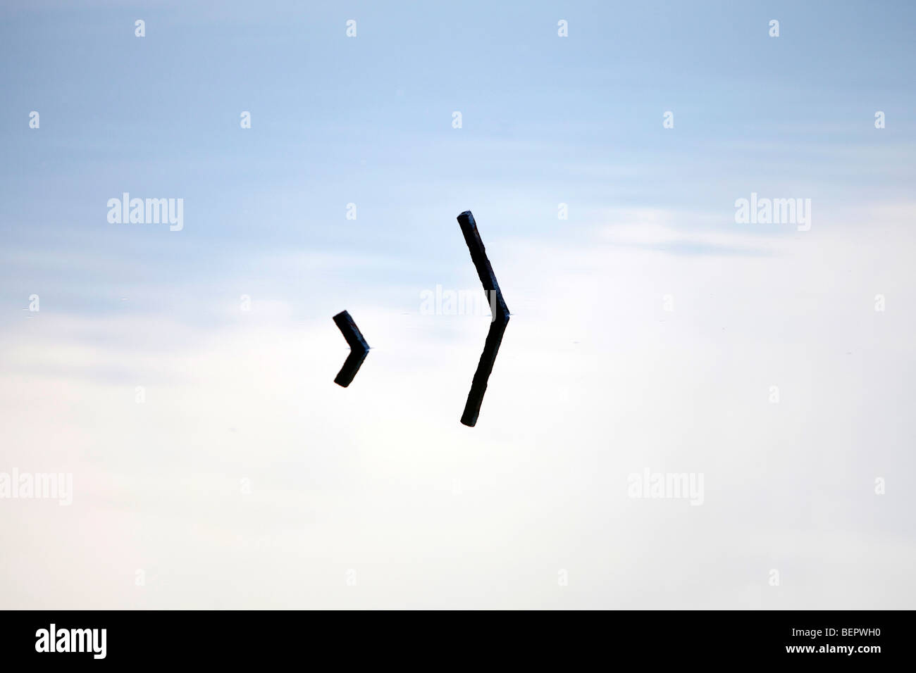 Tranquillo e pacifico stagno di acqua Foto Stock