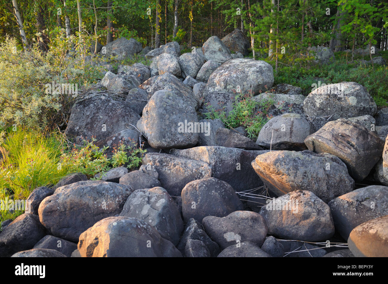 La foto mostra enormi massi che un tipico sfondo di ogni isola nel sud della regione della Carelia Repubblica Foto Stock