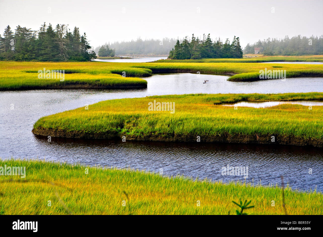 Scenic canali d'acqua lungo un fiume in Clark, Porto Cape Sable Island Lighthouse Route, Highway 330, Nova Scotia, Canada. Foto Stock