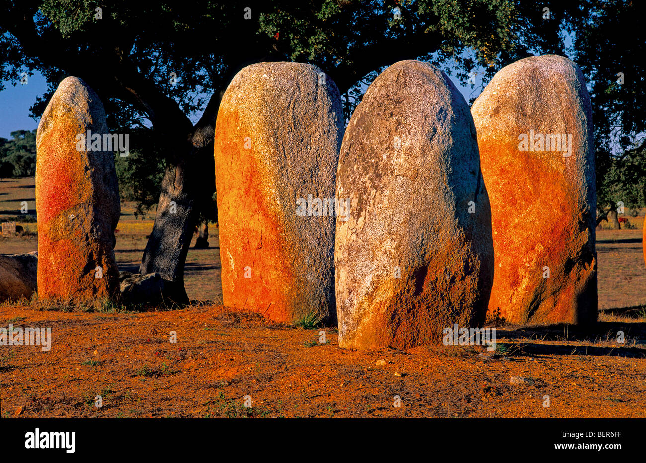 Portogallo Alentejo: singoli menhir della Cromeleque de Vale Maria Foto Stock