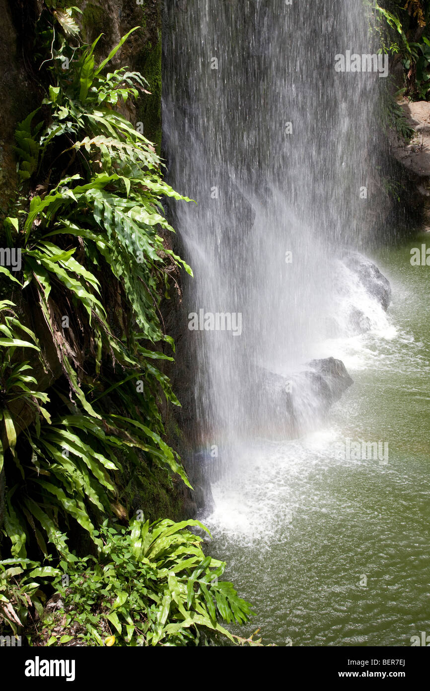 Dettaglio della cascata, l'acqua che cade su pietre Foto Stock