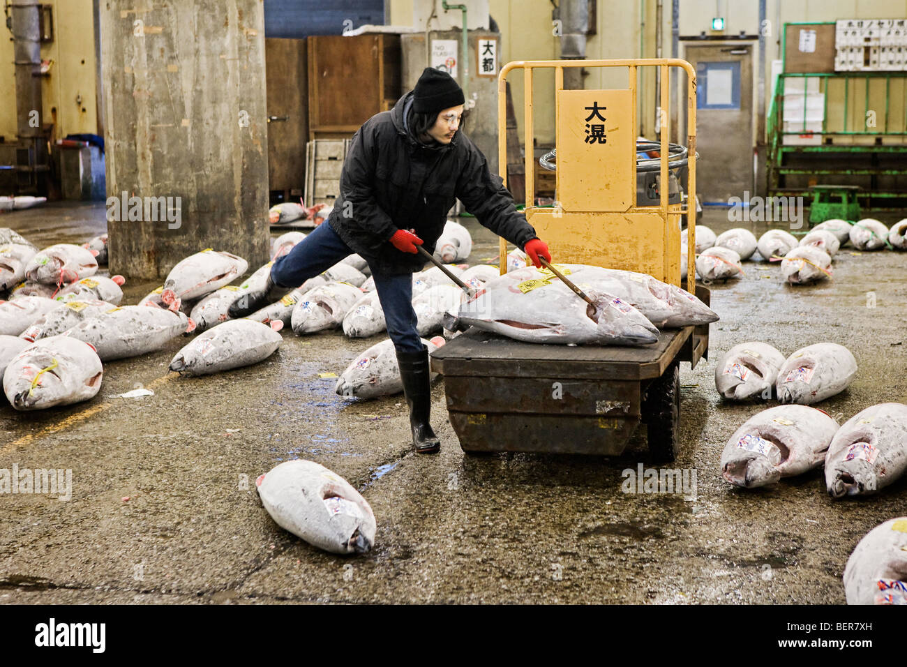 Un uomo la predisposizione di tonno congelato per asta presso il Mercato del Pesce di Tsukiji a Tokyo Foto Stock