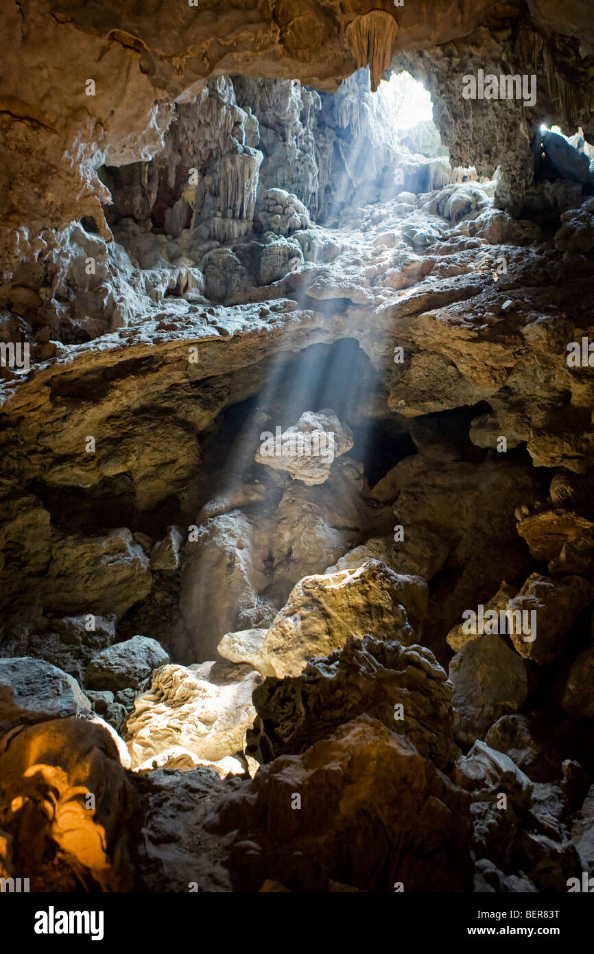 Un albero di luce che risplende in una grotta in un'isola nella baia di Halong, Vietnam Foto Stock