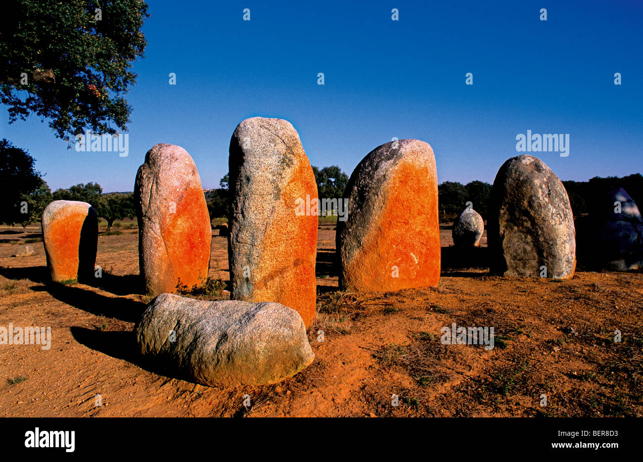 Portogallo Alentejo: menhir della Cromeleque do Vale Maria Foto Stock