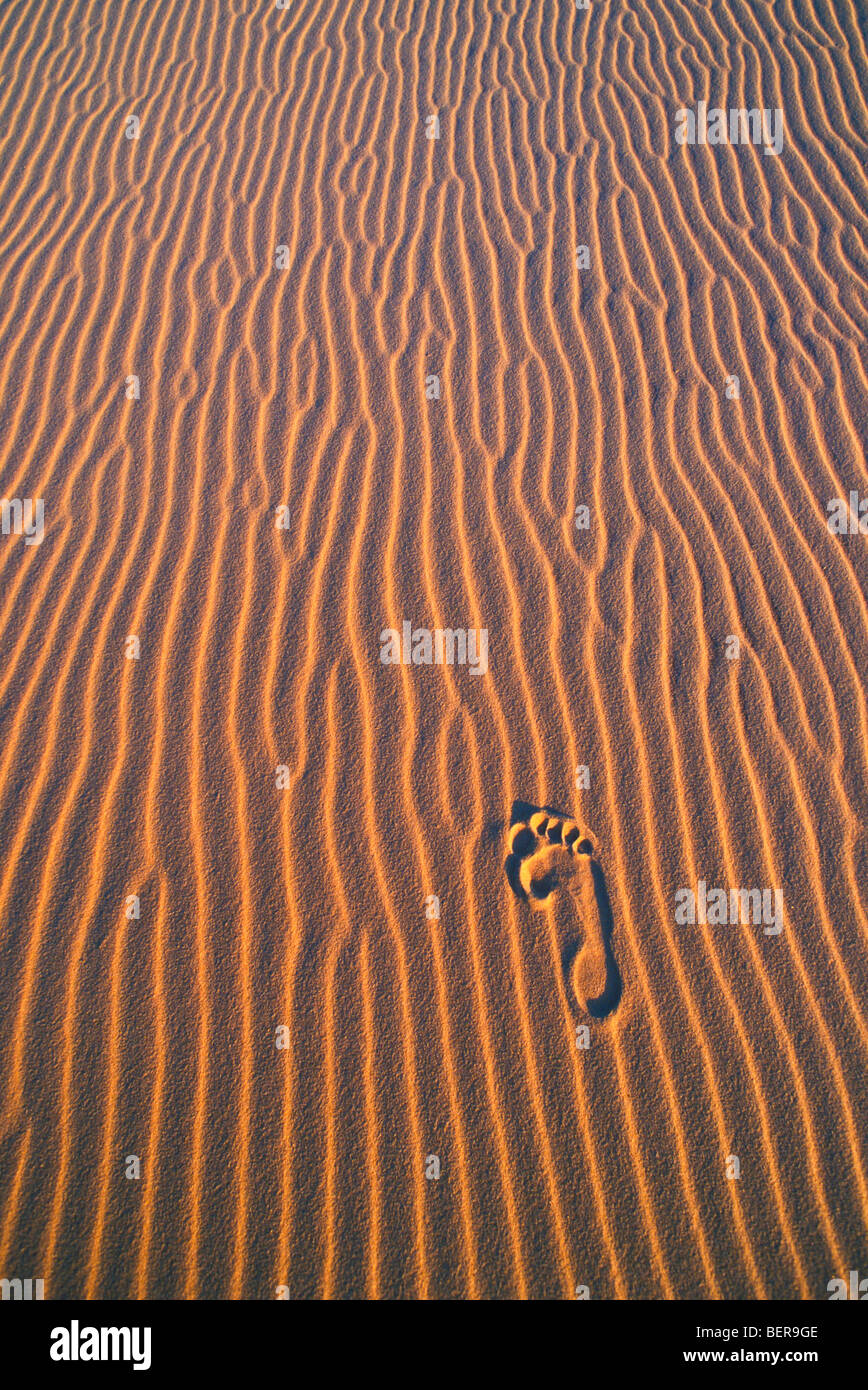 Impronte in duna di sabbia Foto Stock