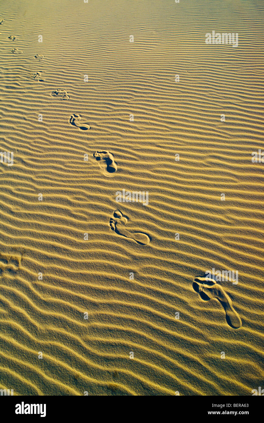 Impronte in duna di sabbia Foto Stock
