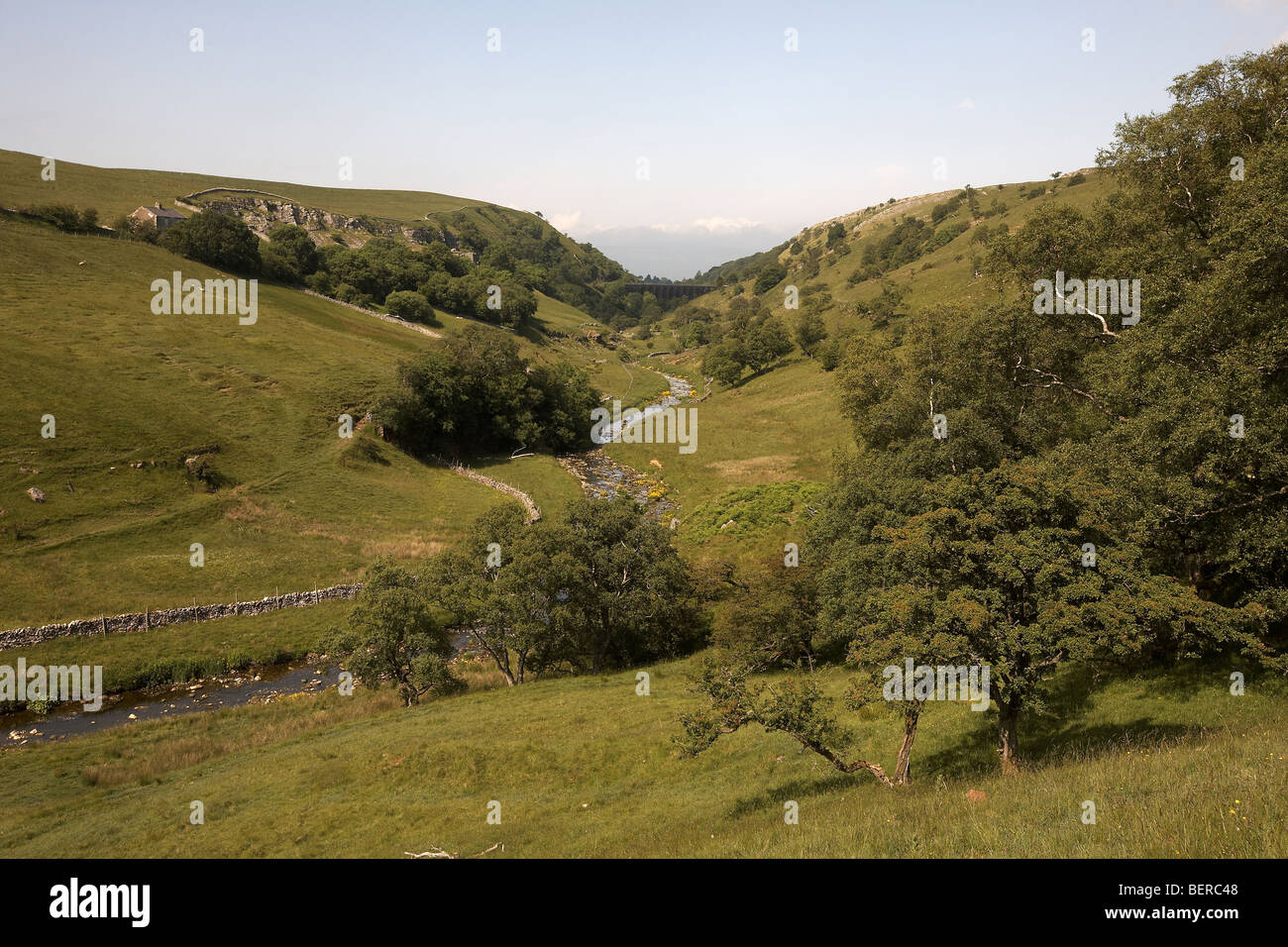Smardale viadotto ferroviario e di scandalo di Beck che fluisce attraverso Smardale Gill Riserva Naturale Nazionale Cumbria, Regno Unito Foto Stock