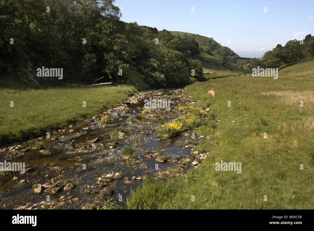 Scandalo Beck fluente attraverso Smaedale Gill Riserva Naturale Nazionale Cumbria, Regno Unito Foto Stock
