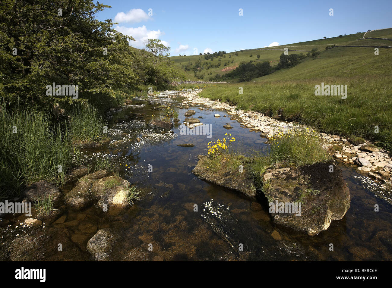 Scandalo Beck flusso che scorre attraverso Smardale Gill Riserva Naturale Nazionale Cumbria, Regno Unito Foto Stock