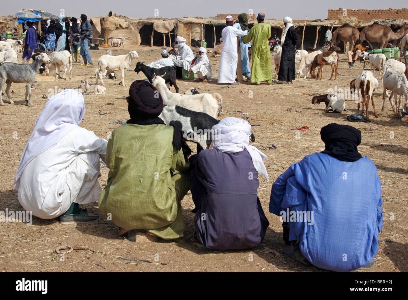 Il Tuareg uomini vendita di capre al mercato di capra (Capra hircus) di Agadez, Niger, Africa occidentale Foto Stock