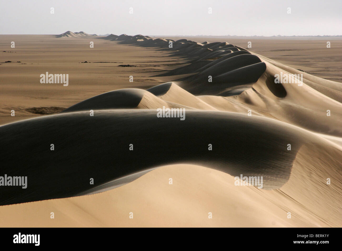 Dune di sabbia cintura in Erg di Bilma, un mare di dune nel deserto Ténéré regione del sud del Sahara centrale, Niger, Africa occidentale Foto Stock