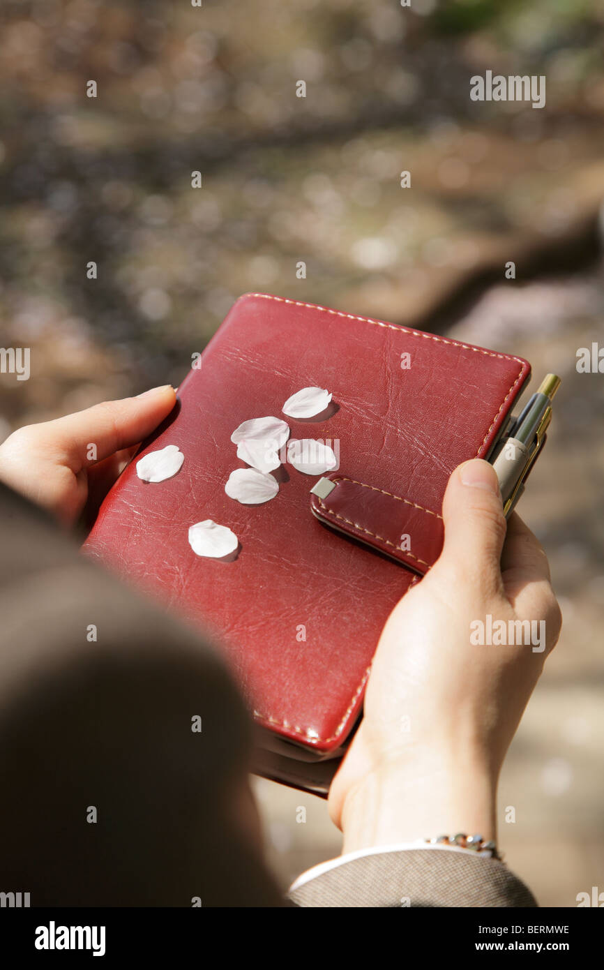 Petali di fiore di ciliegio su personal organizer Foto Stock