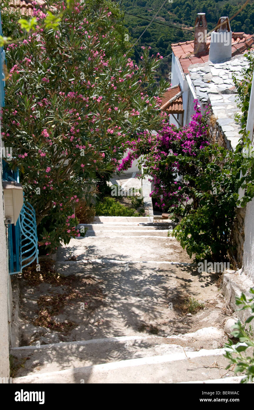 Passi nella città vecchia o Hora nell'isola greca di Alonissos, Sporadi, Grecia Foto Stock