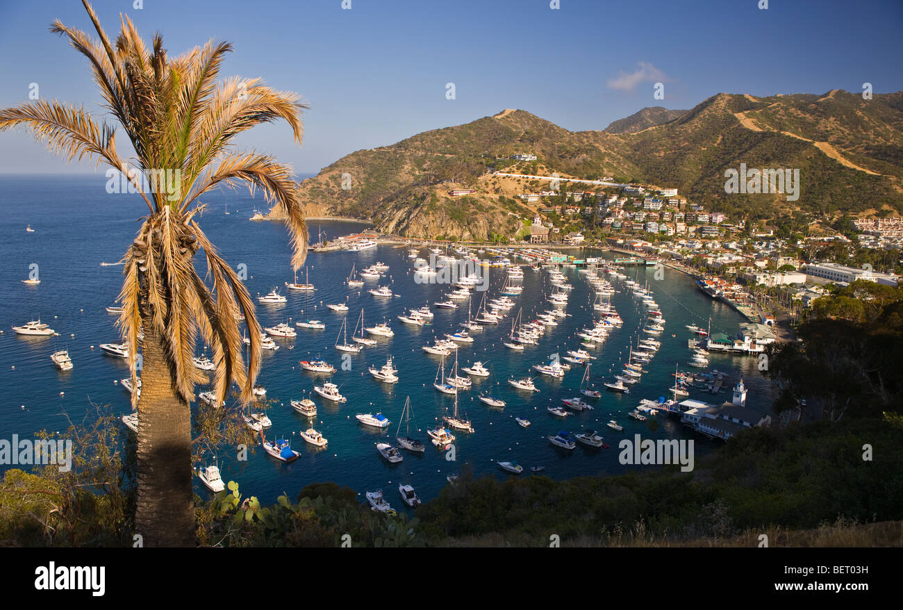 AVALON, CA, Stati Uniti d'America - porto e città di Avalon, Isola di Santa Catalina Foto Stock