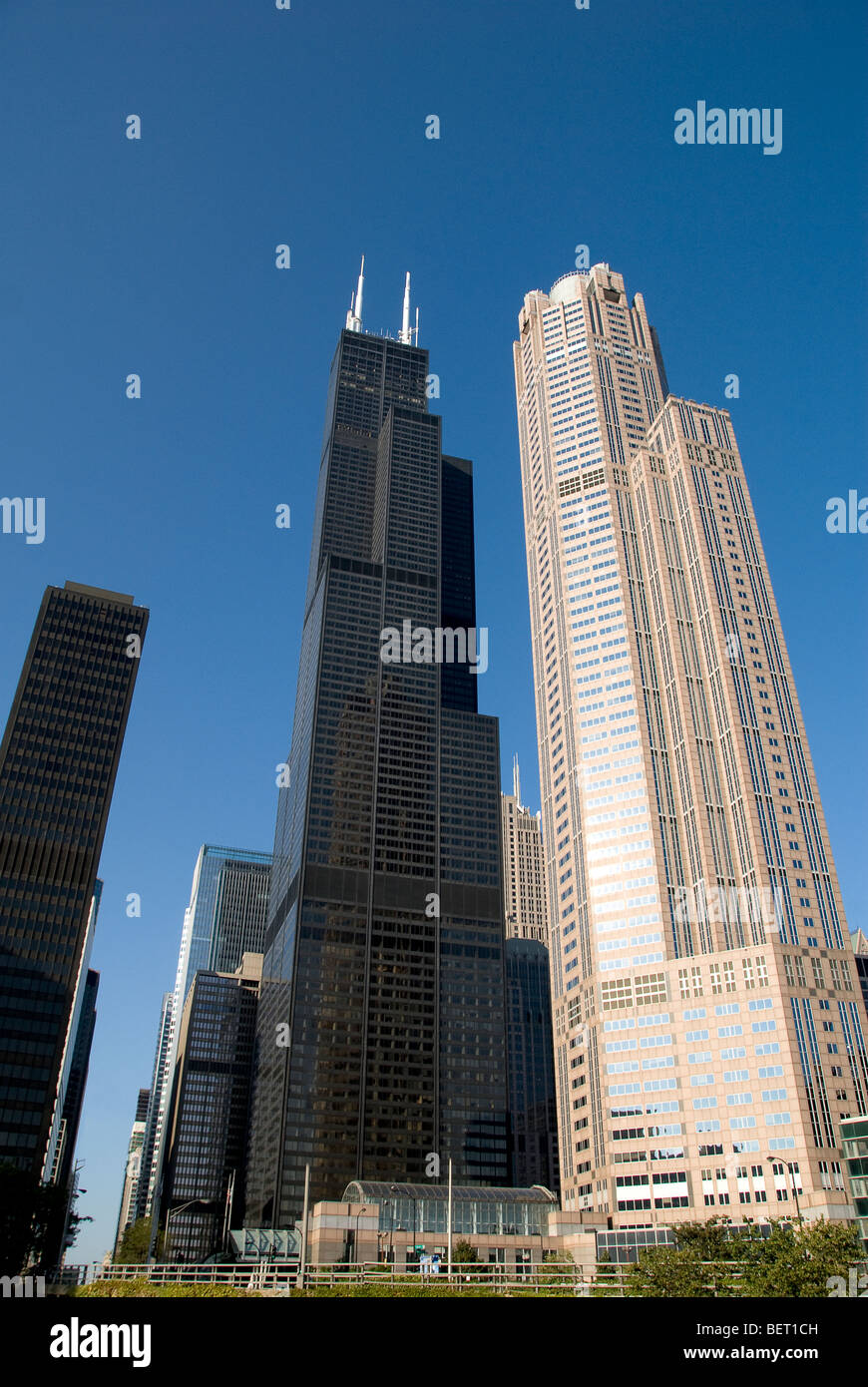 Sears Tower incorniciata da alte-sorge in Chicago, Illinois Foto Stock