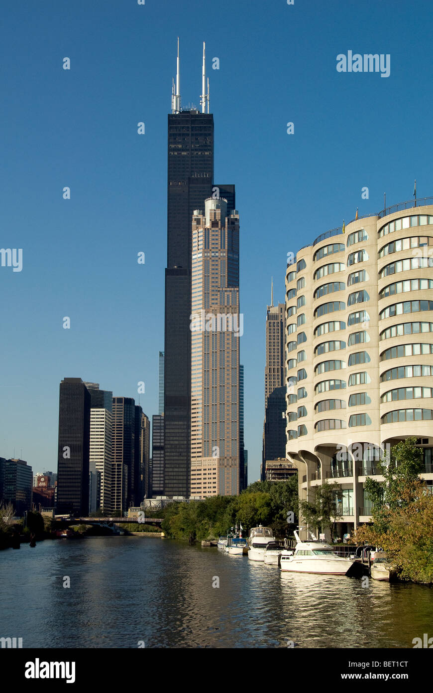 Sears Tower incorniciata da alte-sorge in Chicago, Illinois Foto Stock