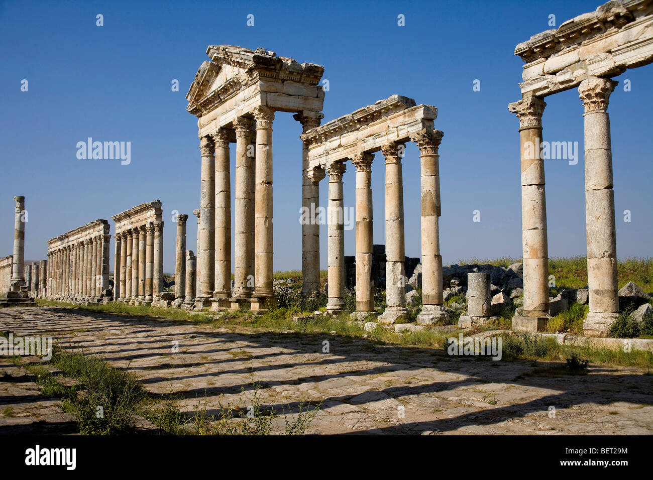 Rovine romane nel sito storico di Apamea, Siria, Medio Oriente e Asia Foto Stock