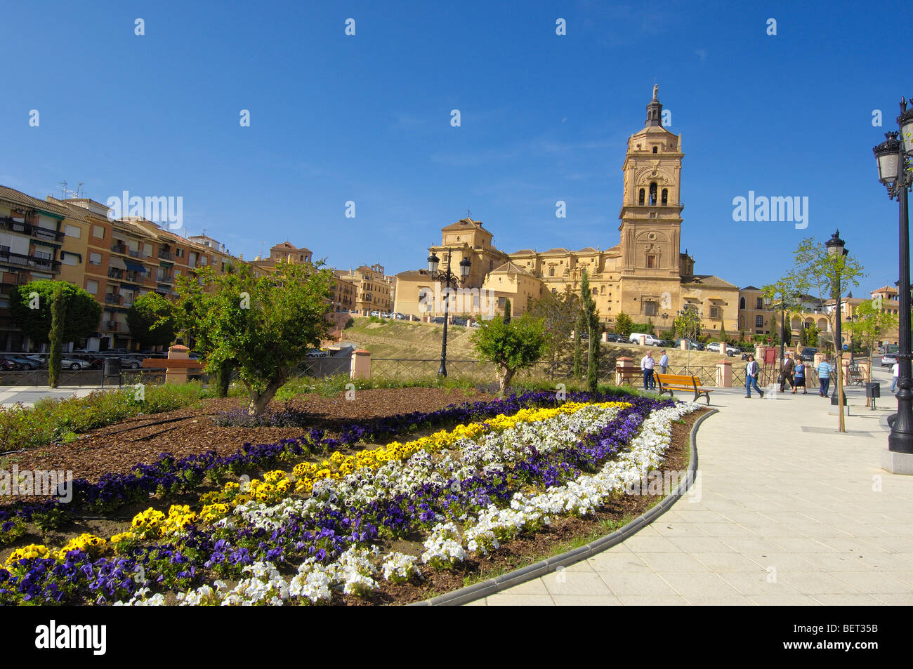 Cattedrale di Guadix. El Marquesado area. Xvi secolo. Granada. Spagna. Foto Stock