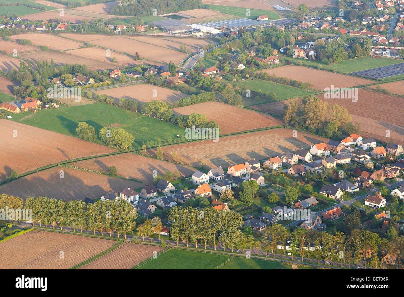 Lo sviluppo del nastro in zona agricola con i campi, praterie e siepi dall'aria, Belgio Foto Stock